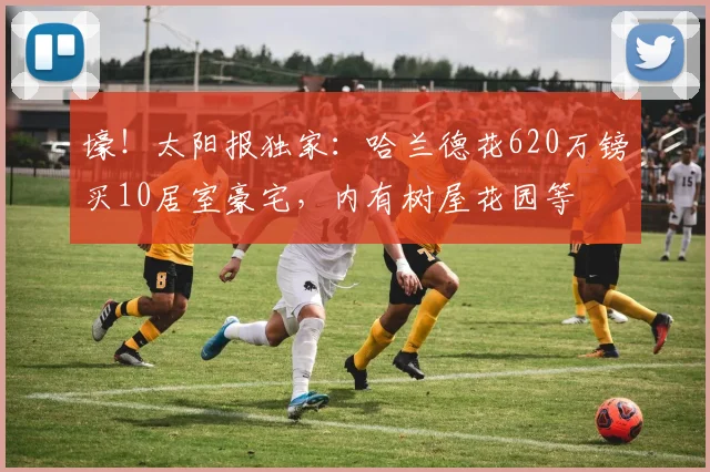 壕！太阳报独家：哈兰德花620万镑买10居室豪宅，内有树屋花园等
